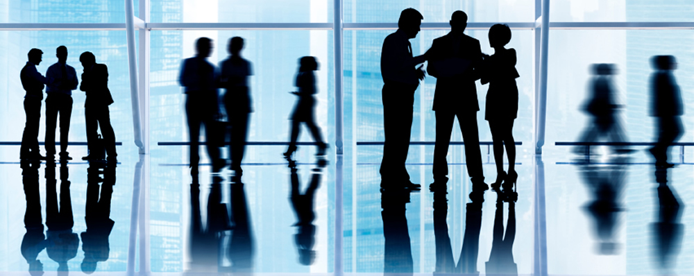 Founder Murray Bain is a highly experienced corporate and government organisational leader who also has wide board experience across a range of private, not-for-profit and government organisations in many sectors - banking, hi tech manufacturing, research and innovation, the primary sector and economic development.